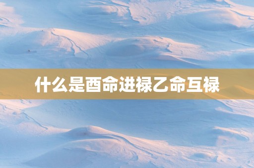 什么是酉命进禄乙命互禄
