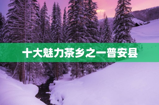 十大魅力茶乡之一普安县