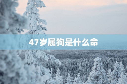 47岁属狗是什么命