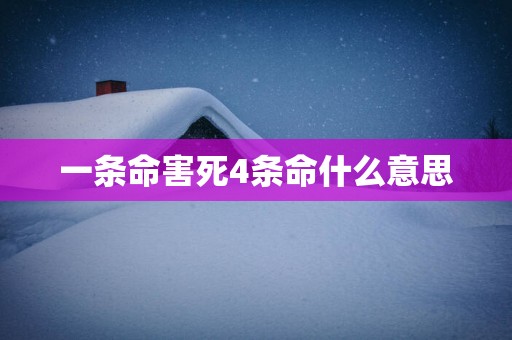 一条命害死4条命什么意思