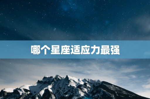 哪个星座适应力最强