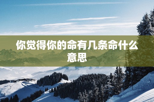 你觉得你的命有几条命什么意思