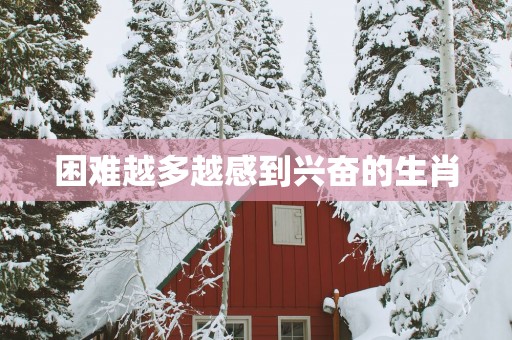 困难越多越感到兴奋的生肖