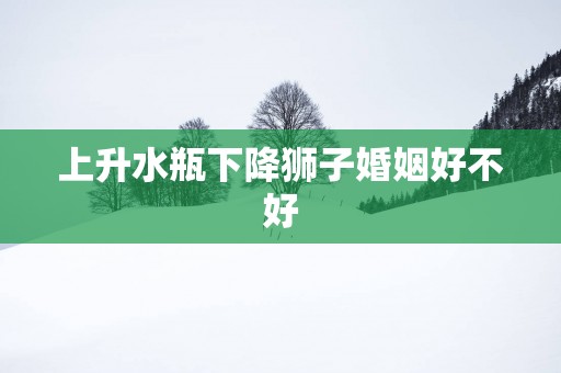 上升水瓶下降狮子婚姻好不好
