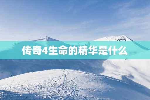 传奇4生命的精华是什么