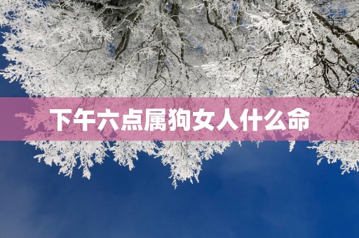 下午六点属狗女人什么命