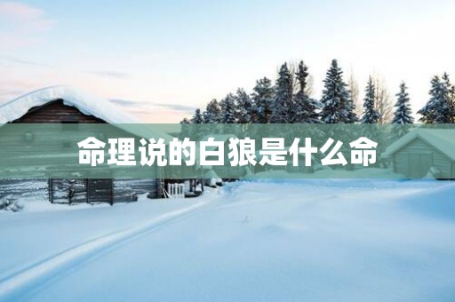 命理说的白狼是什么命