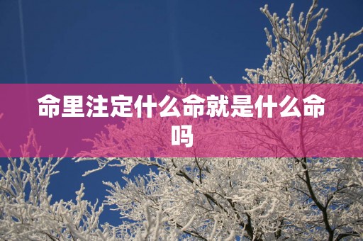 命里注定什么命就是什么命吗