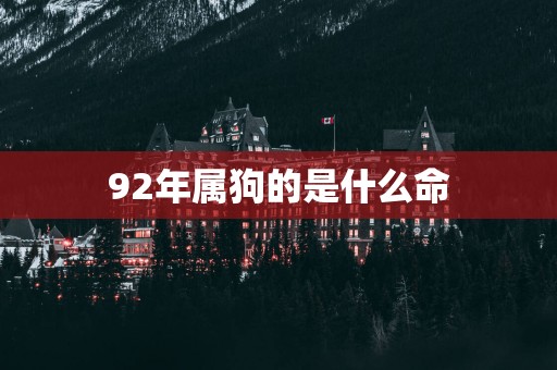 92年属狗的是什么命
