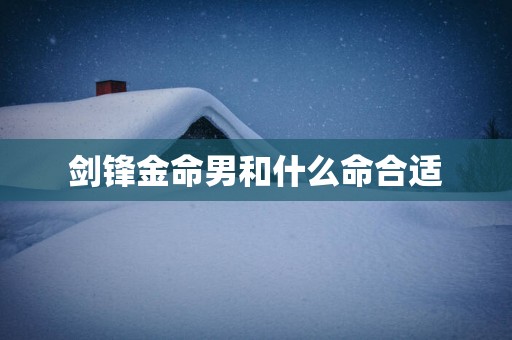 剑锋金命男和什么命合适