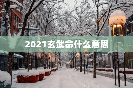 2025玄武命什么意思
