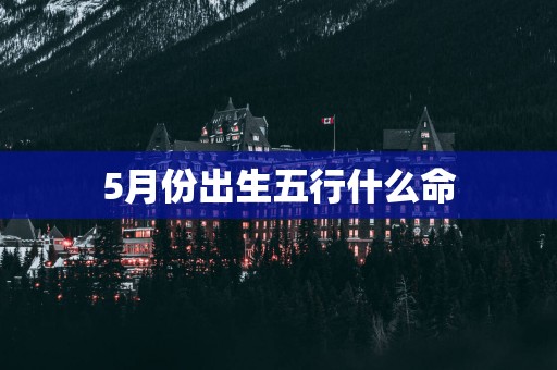 5月份出生五行什么命