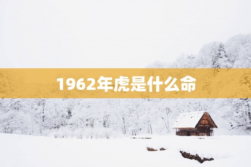1962年虎是什么命