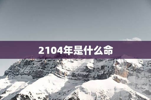 2104年是什么命