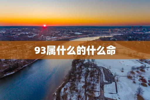 93属什么的什么命