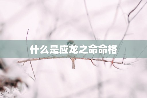 什么是应龙之命命格