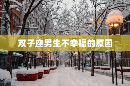 双子座男生不幸福的原因