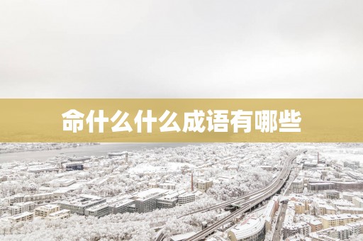 命什么什么成语有哪些