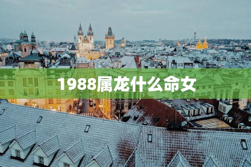 1988属龙什么命女