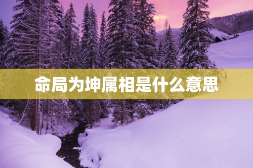 命局为坤属相是什么意思