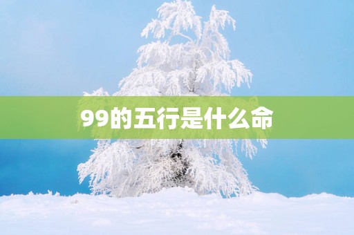 99的五行是什么命