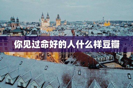 你见过命好的人什么样豆瓣