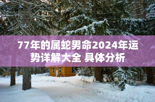 77年的属蛇男命2025年运势详解大全 具体分析