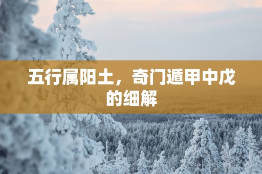 五行属阳土，奇门遁甲中戊的细解