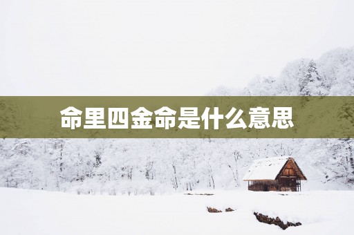 命里四金命是什么意思