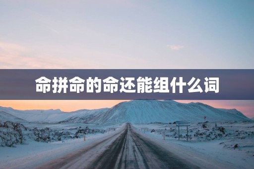 命拼命的命还能组什么词