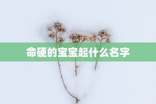 命硬的宝宝起什么名字