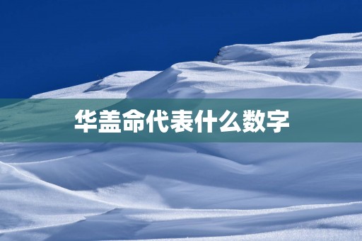 华盖命代表什么数字