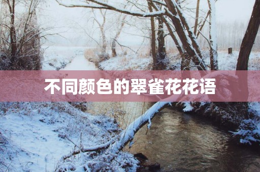 不同颜色的翠雀花花语