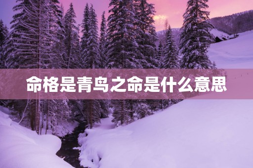 命格是青鸟之命是什么意思