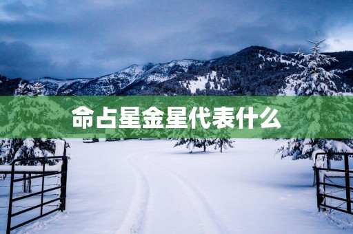 命占星金星代表什么
