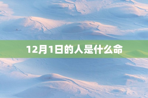 12月1日的人是什么命