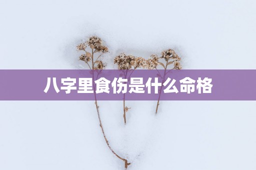 八字里食伤是什么命格