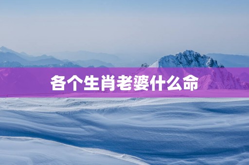 各个生肖老婆什么命