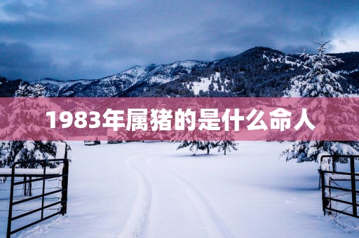 1983年属猪的是什么命人