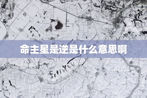 命主星是逆是什么意思啊