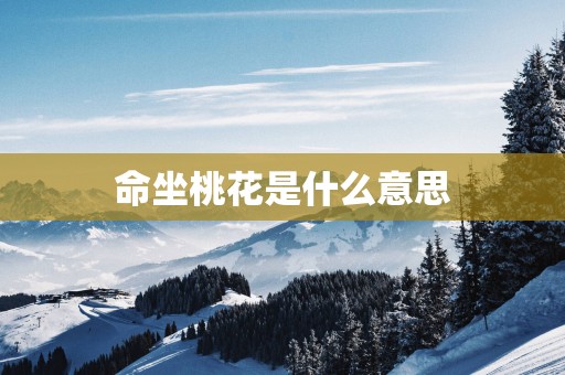 命坐桃花是什么意思