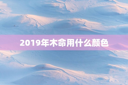 2019年木命用什么颜色