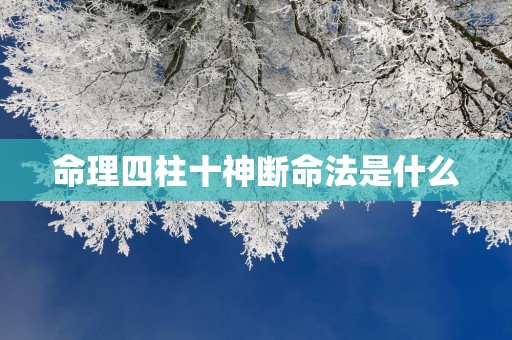 命理四柱十神断命法是什么