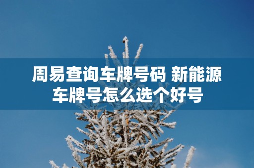 周易查询车牌号码 新能源车牌号怎么选个好号