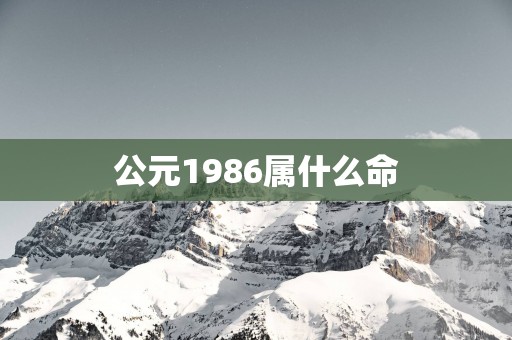 公元1986属什么命