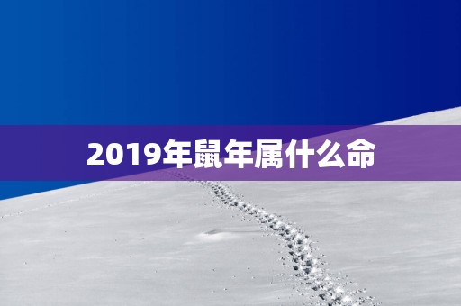 2019年蛇年属什么命