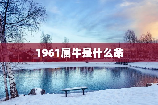 1961属牛是什么命