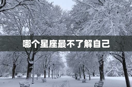 哪个星座最不了解自己