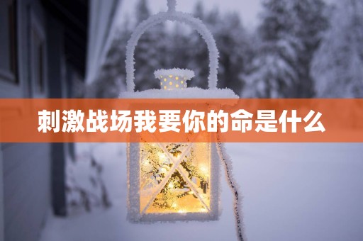 刺激战场我要你的命是什么
