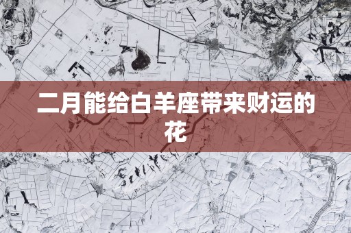 二月能给白羊座带来财运的花